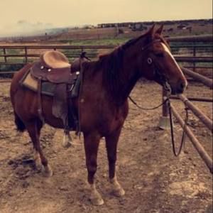 Meet your Posher, Raymond